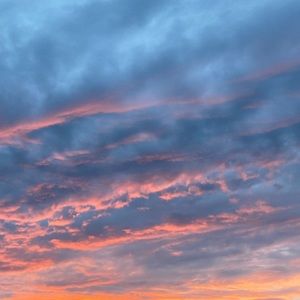 Meet your Posher, Caitlyn